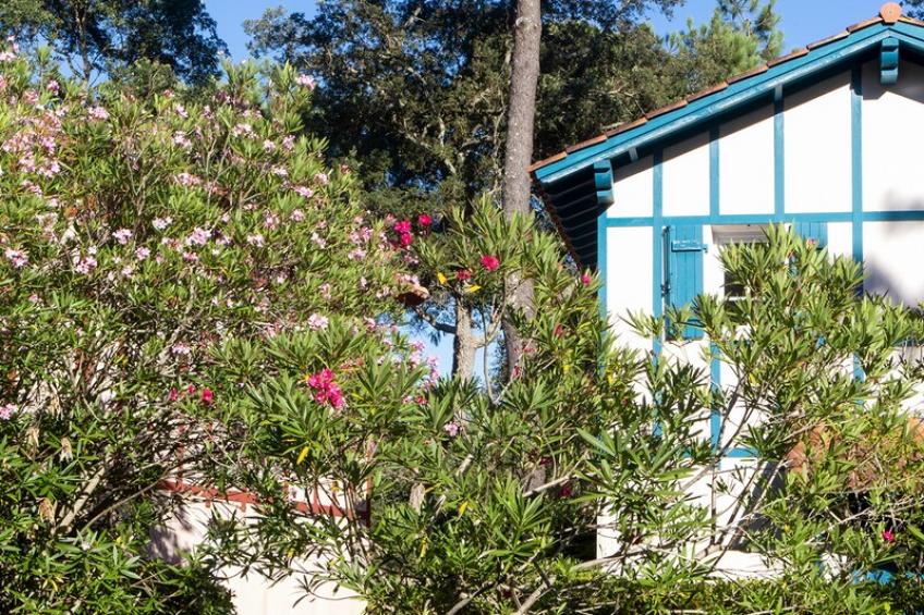 Maison Supérieur Moliets - foto 31