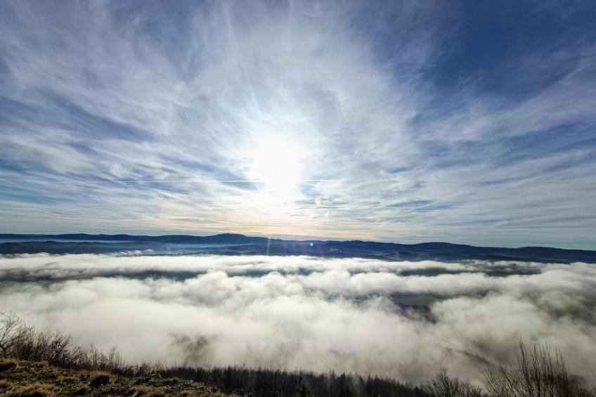 Am Sandberg - foto 20