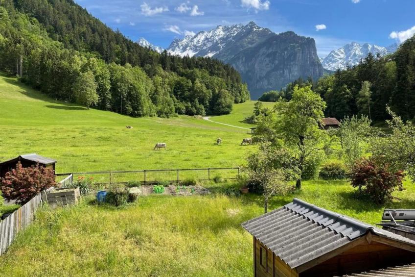 Alpine Home Streich - foto 11