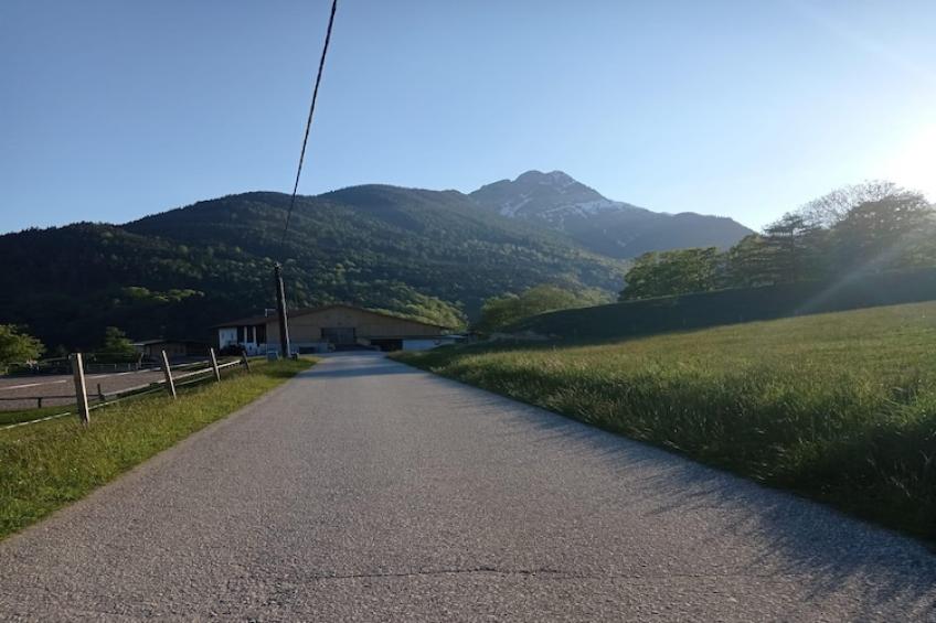 Roßweid Hütte - foto 25