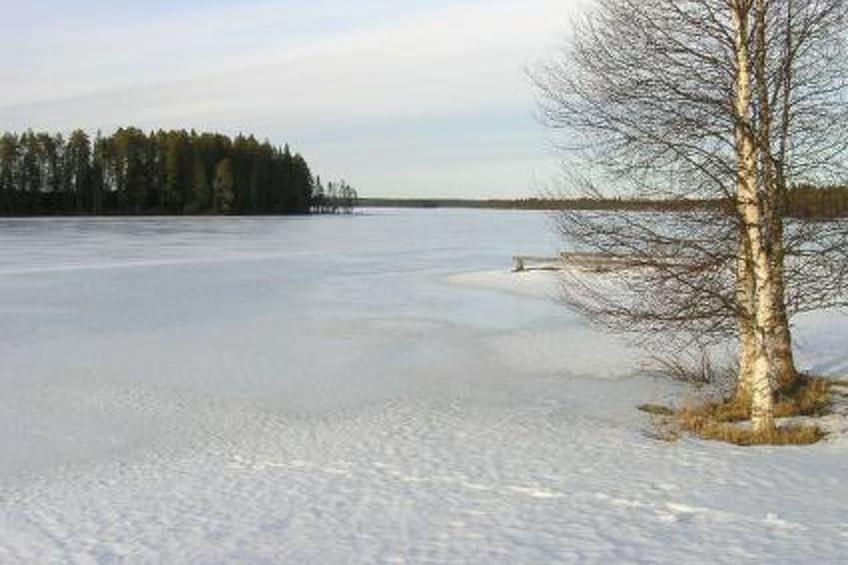Jokijärven lomat/herkkola - foto 4