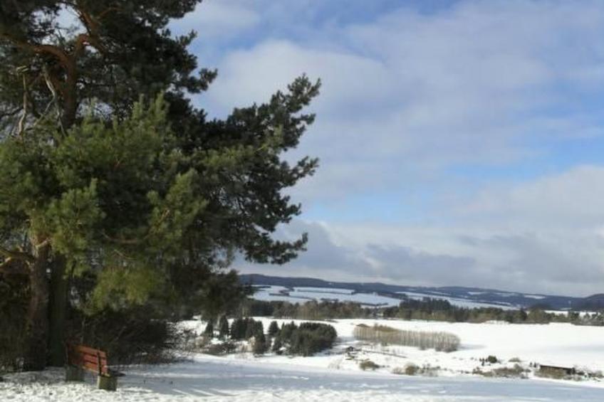 Eifelcottage Rehwiese - foto 18