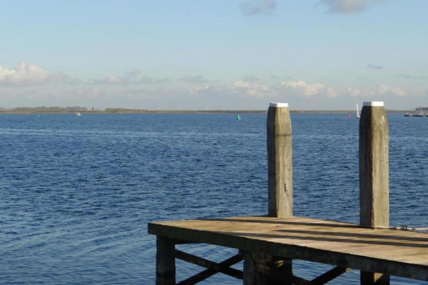 Oostkapelseweg 32 -Serooskerke - Ooievaar - foto 25