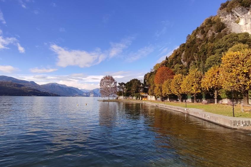 Ostendaise - foto 39