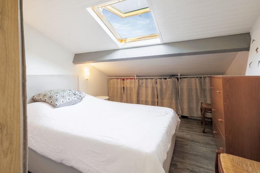 Barasteguia - foto 5