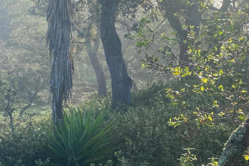 Casa da Adega - foto 30