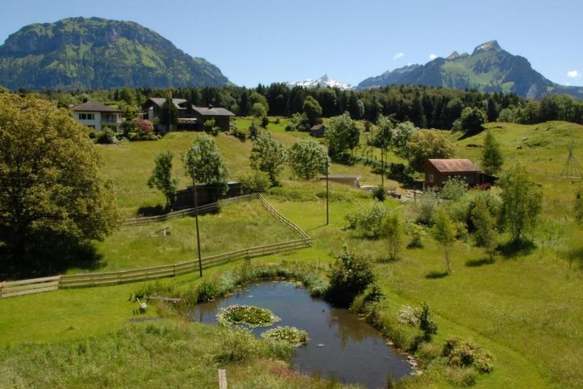 Dein Erlebnis - foto 18