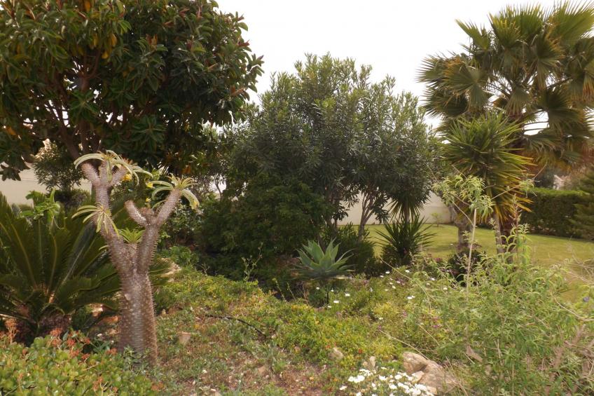 Ferienhaus - foto 31