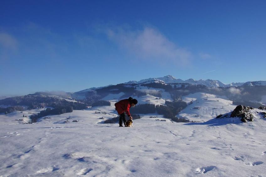 Alpakahof Ferien - foto 39