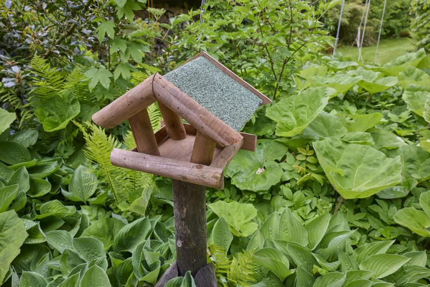 Wellnesshuisje Engelse Tuin - foto 51