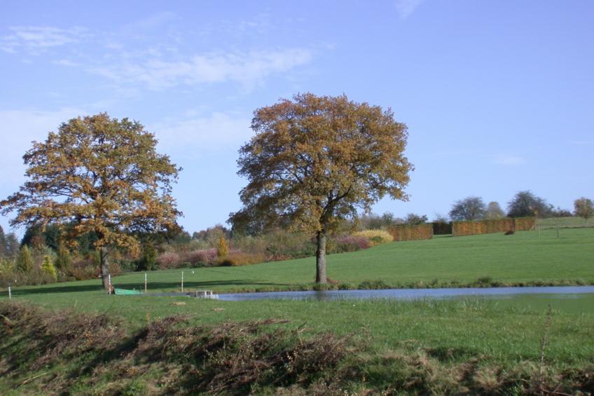 Le Tilleul - foto 30