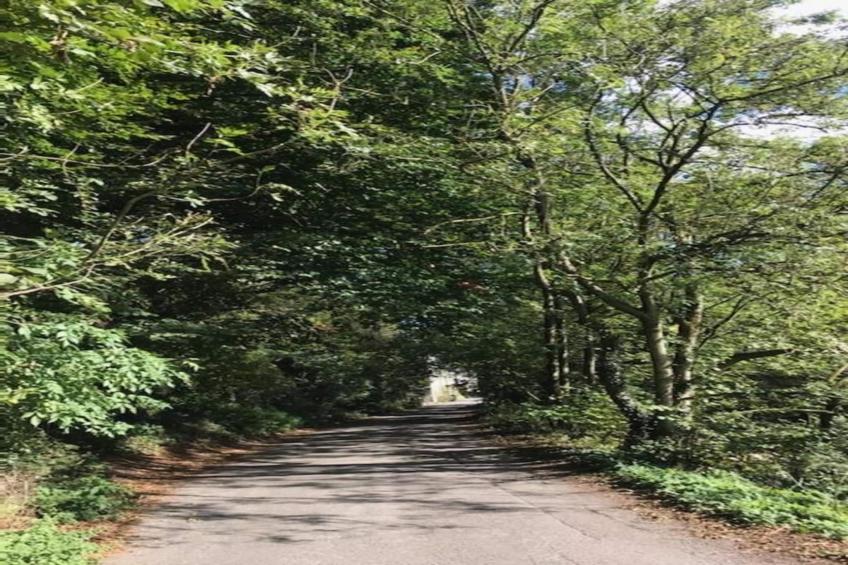 The Old Post Office Apartment 2 - foto 37