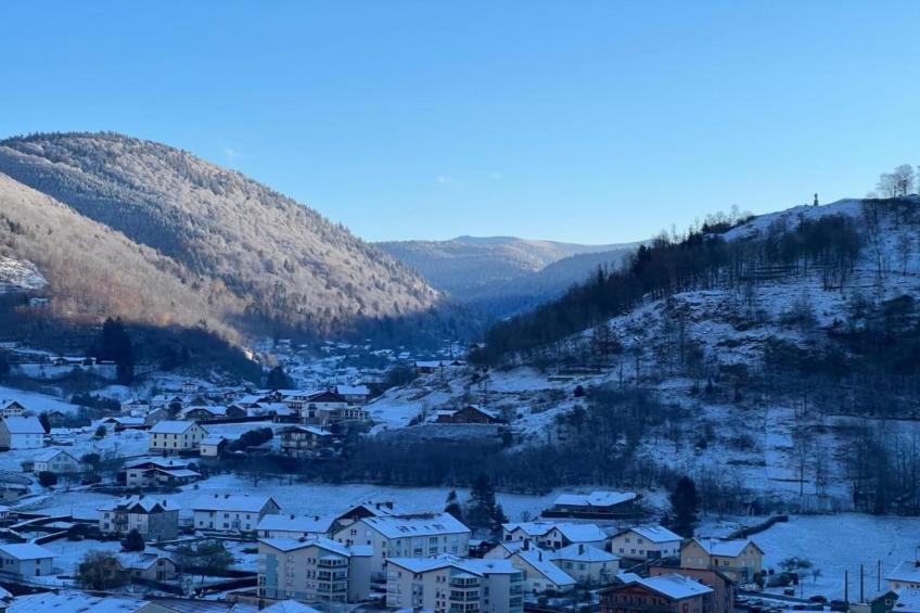 LA POMME DE PIN 2  Appartement avec terrasse - foto 28