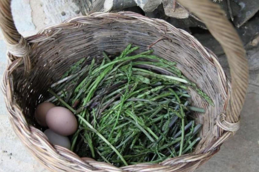 Tolles Reihenhaus im Olivenhain - foto 10