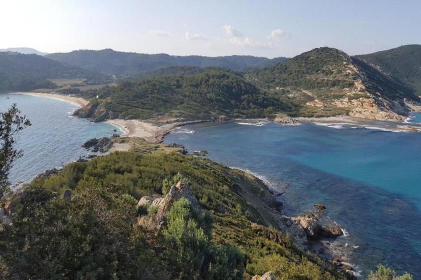 La Palmeraie - foto 24