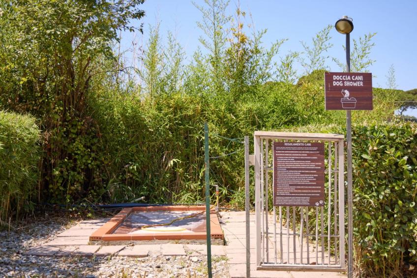 Costa D'Argento - foto 30