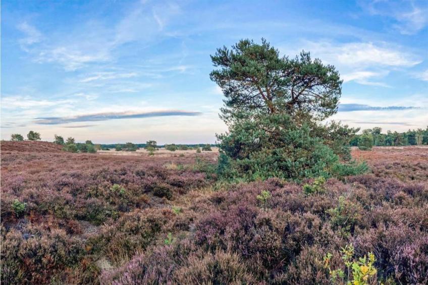 De Veluwse Hoevegaerde 3 - foto 26