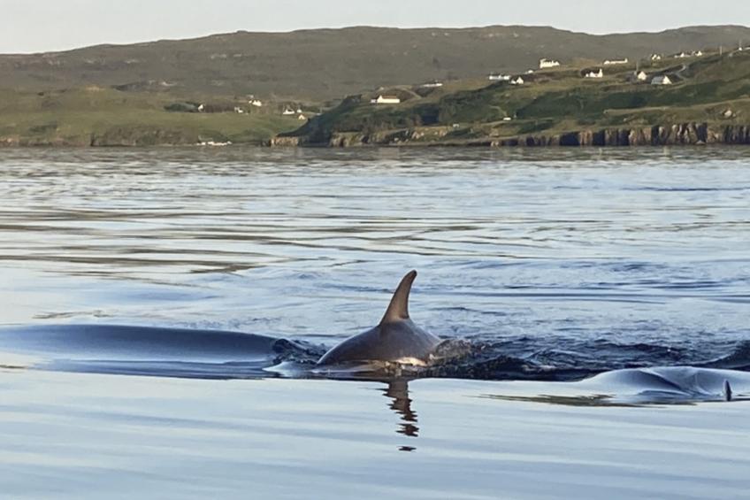 The Studio - foto 22