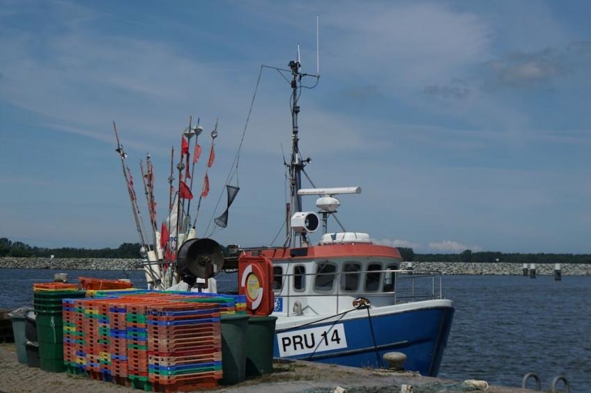 277654 - foto 22
