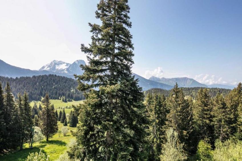 Le Carina N°4 - ST4 - foto 22