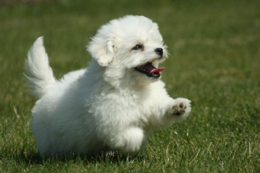 Fachwerkhaus "gitealienor perigord" - foto 2