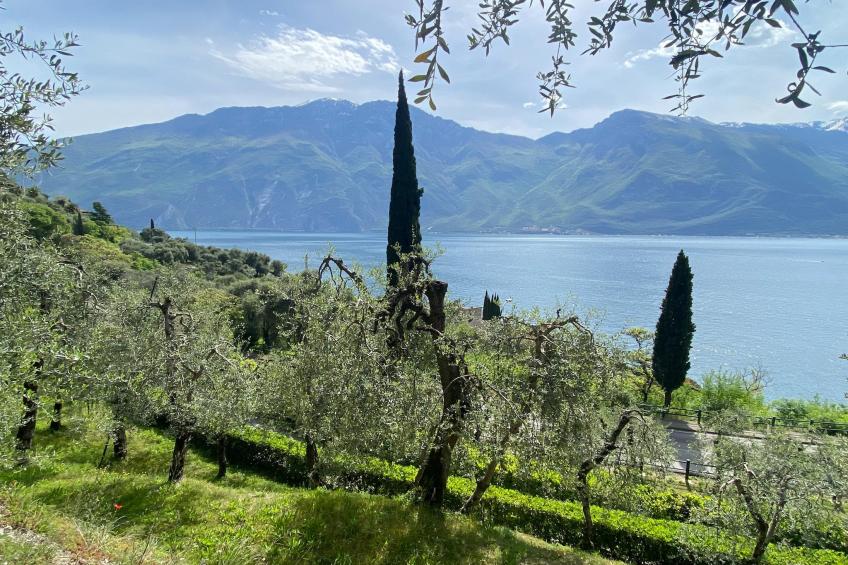 Residence Villa Gianna Limone sul Garda - Trilo 1 - 2 pax - foto 4
