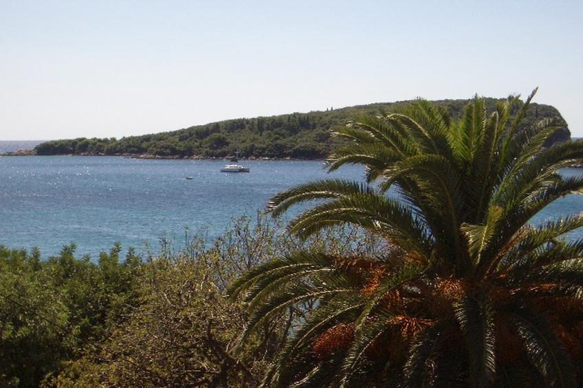 Apartment Dario - One Bedroom Apartment with Terrace and Sea View - foto 29