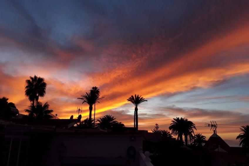 La Palmita mit Meerblick - foto 23