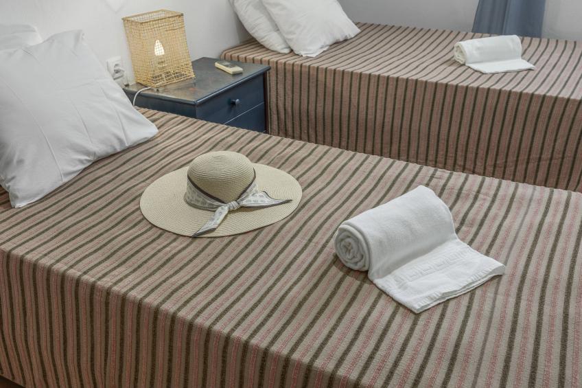 Jardim do Sul - foto 5