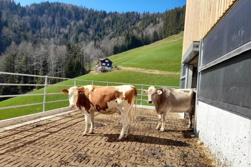 Hasenbüel - foto 35