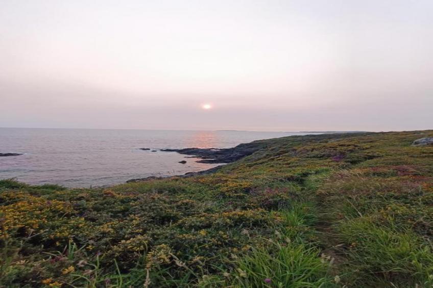 Villa Finca - foto 37