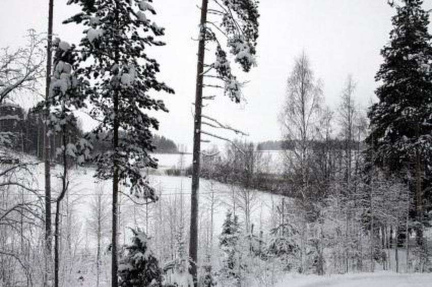 Ylähuone, pätiälän kartanon loma-asunnot - foto 16