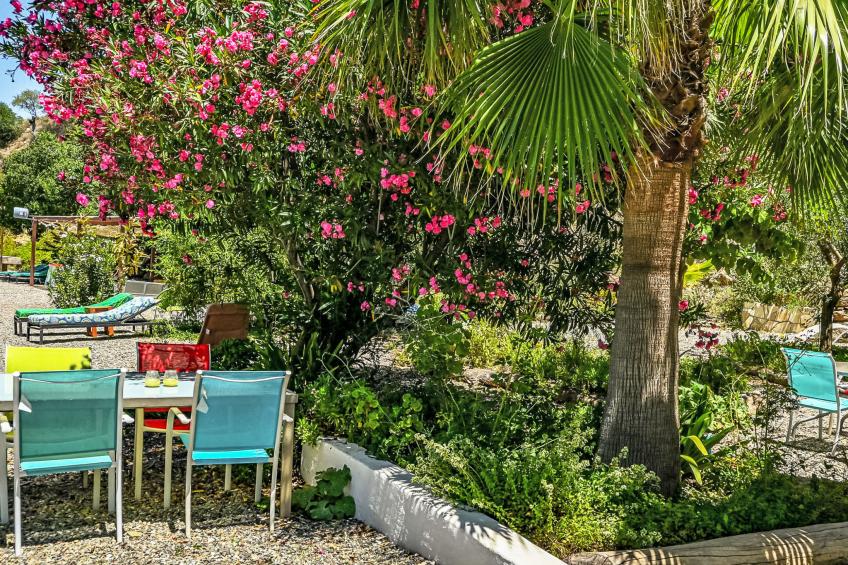 Nido Aguila Blanca - foto 14