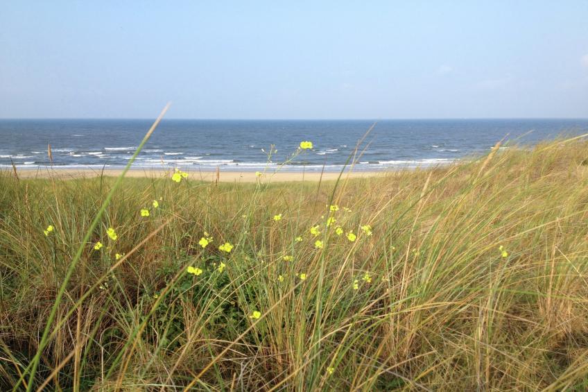 Parel aan de Duinen 3p - foto 12