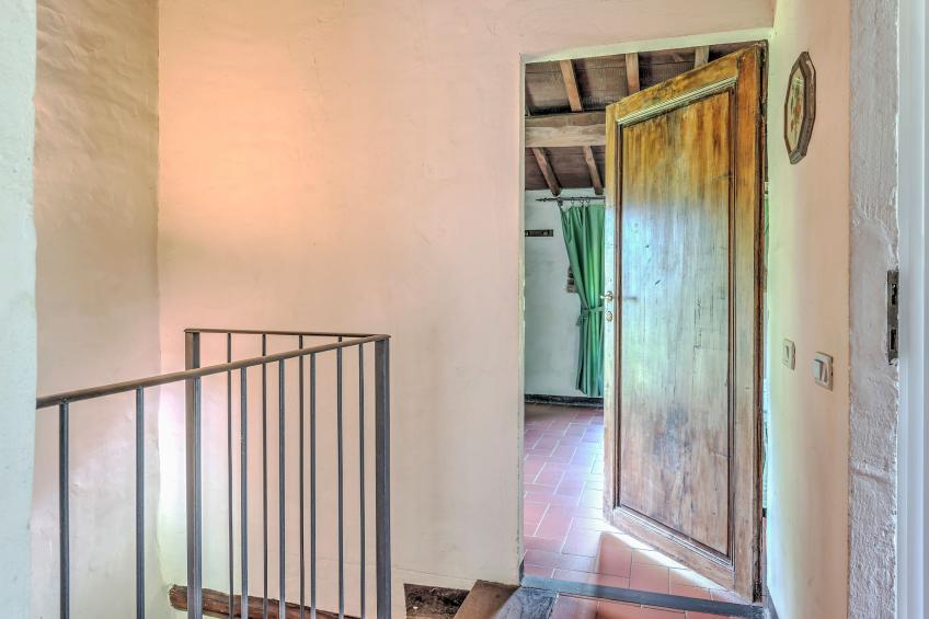 Castagno - foto 22