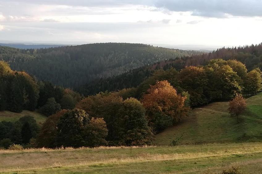 Altes Bootshaus 3 - foto 25