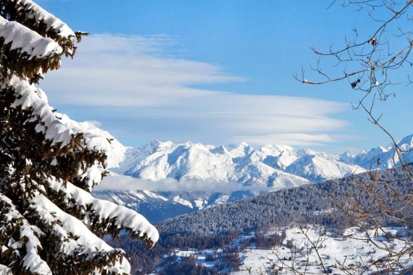 Chalet Arnica - foto 22