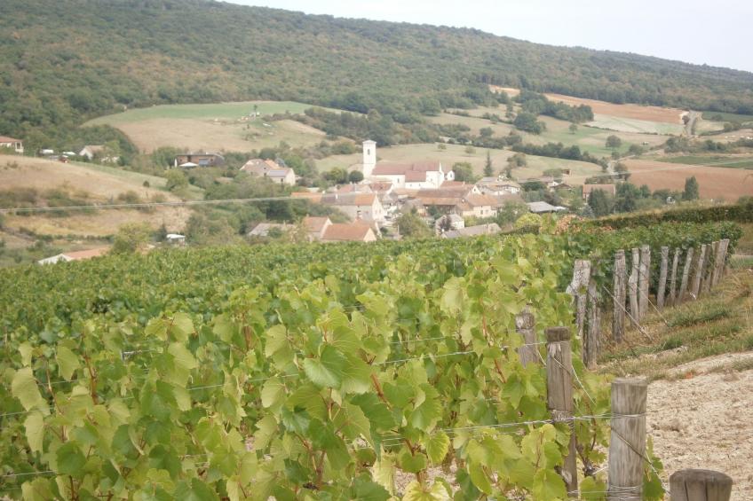 an der Weinstraße von Burgund - foto 25