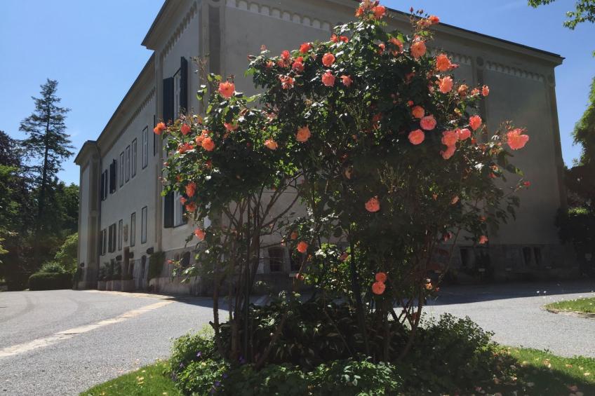 Gemütliche Wohnung in Geidorf mit Garten, Grazer Dom-Nähe - foto 19
