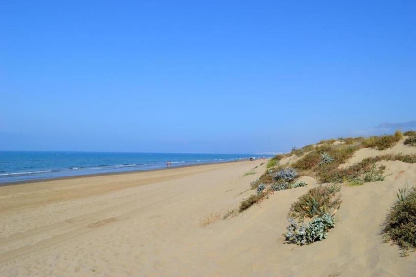 Romana Playa 725 - foto 36