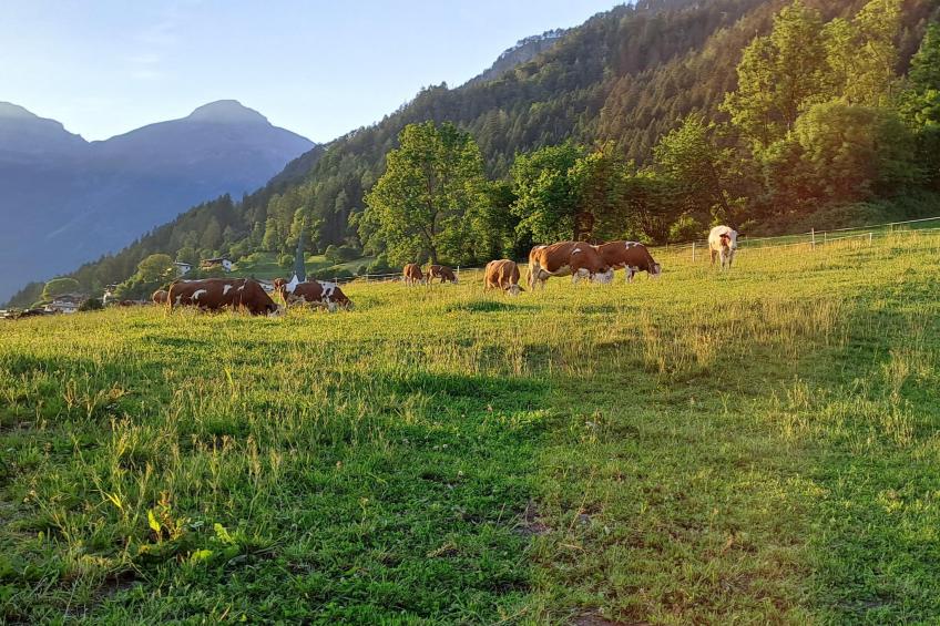 Chalet Anna - foto 17