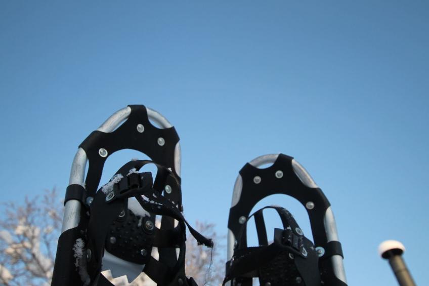 Anwesen mit eigenem Garten und Grill - foto 17