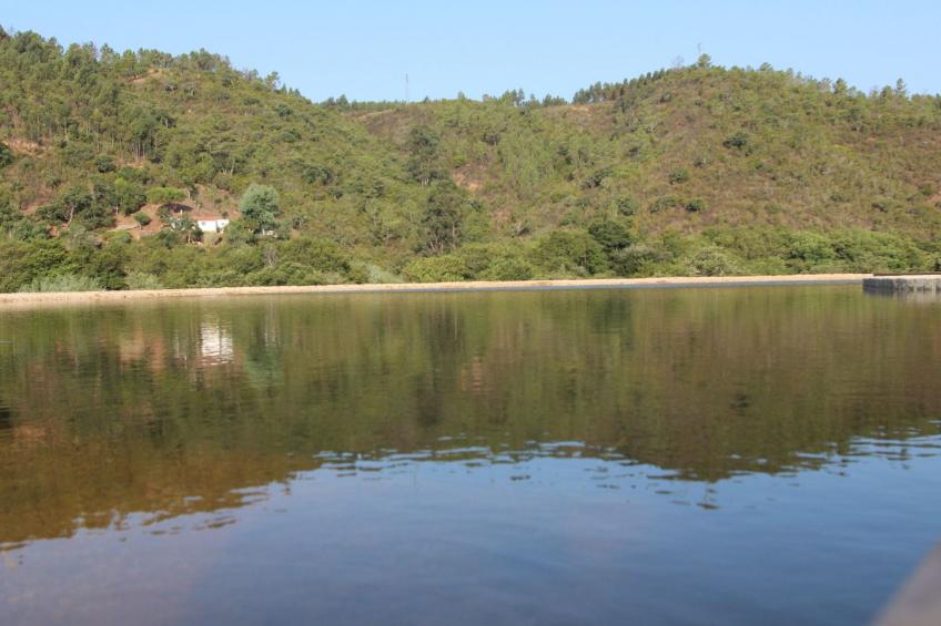 "The Natural Elements" - foto 19