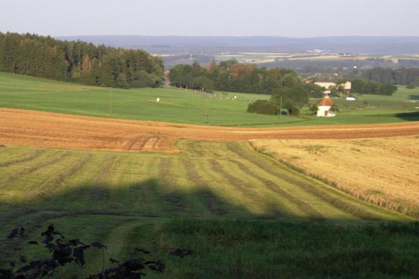 Park Blick - foto 39