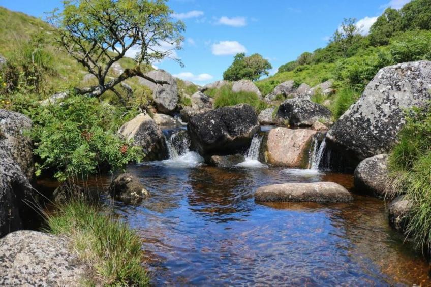 Little Dunley - Vine Lodge - foto 27