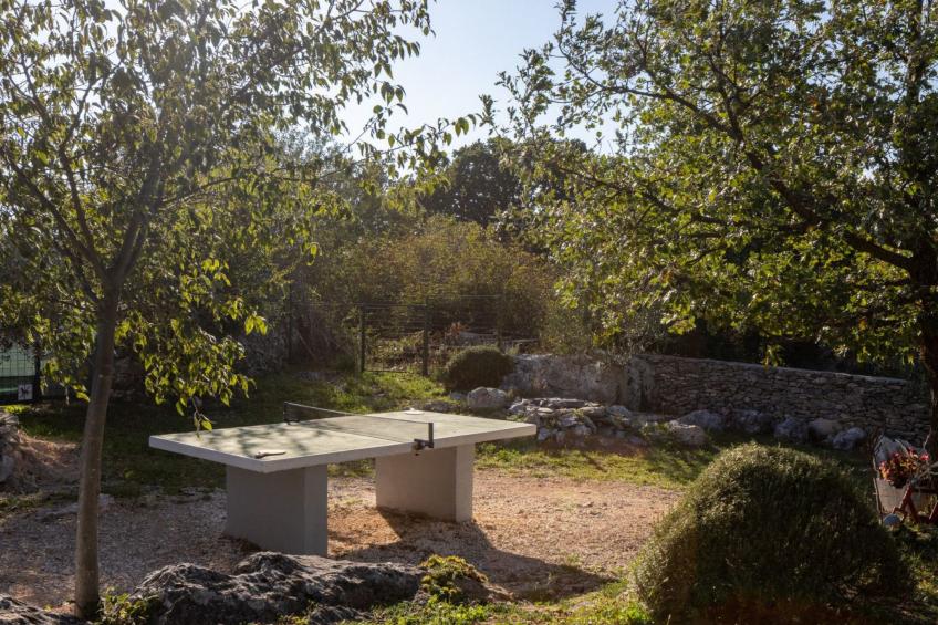 Villa Mirkov San - foto 7