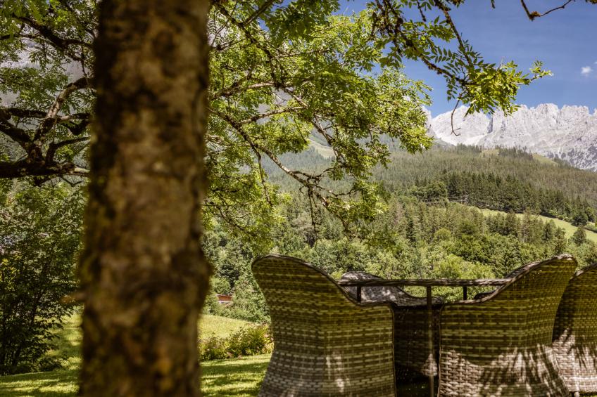 Studio Esche 1 - foto 30