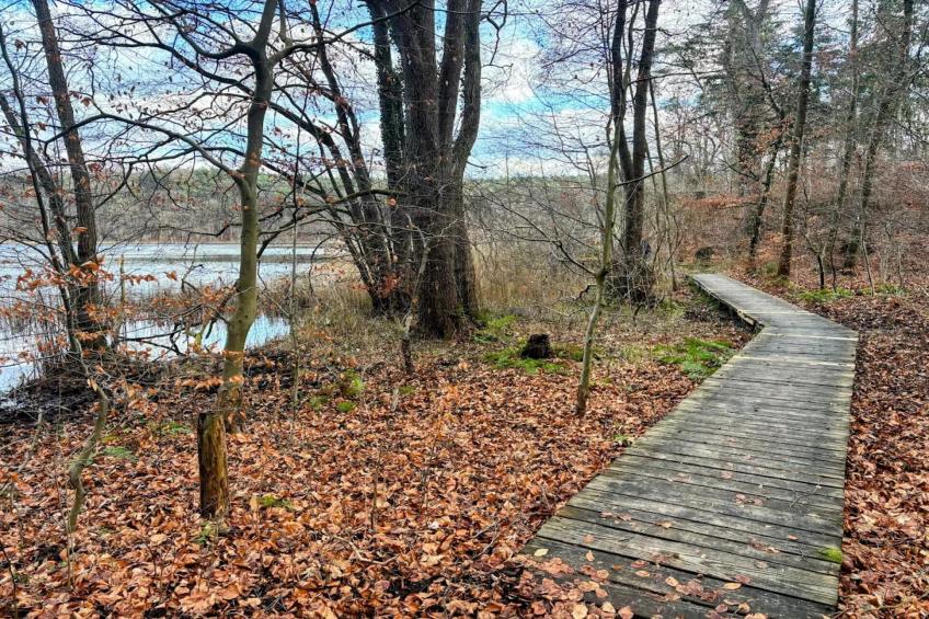 Ferienwohnung Weitblick - foto 32