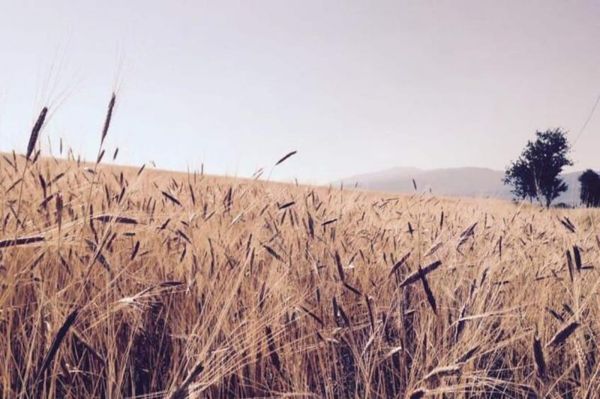 Mas La Miellerie | Charme Authentique Et Nature - foto 77