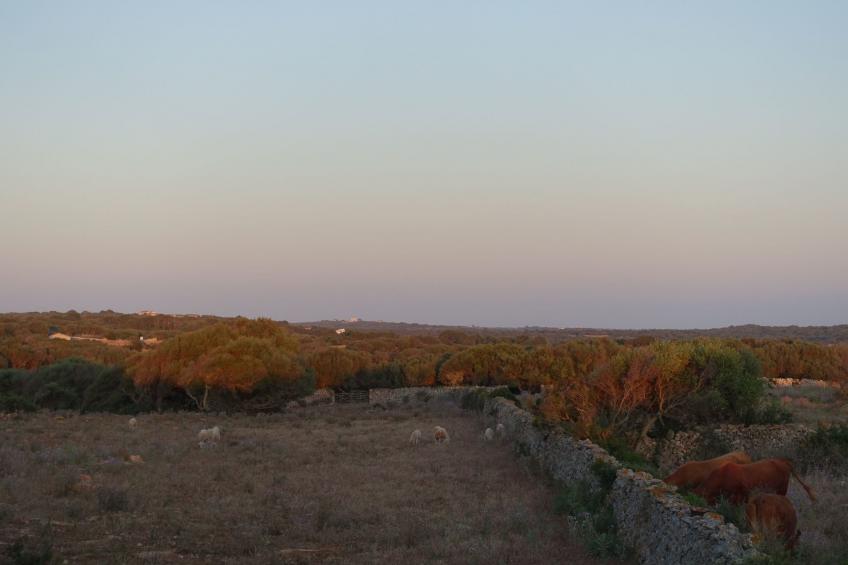 Casita Menorca Privé - foto 24